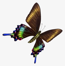 Hd Beautiful Colorful Butterfly Png - 蝴蝶, Transparent Png, Transparent PNG