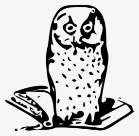 Owl, Wise, Wisdom, Wise Old Owl, Bird, Knowledge - Mądrość Png, Transparent Png, Transparent PNG