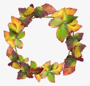 Wreath, Leaves, Autumn, Fall, Nature, Garden, Frame - Transparent Autumn Wreath Png, Png Download, Transparent PNG