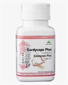 Cordyceps Capsule - Cordyceps Plus Capsule Pak, HD Png Download, Transparent PNG