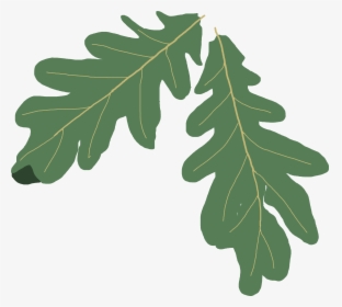 Free, Subject To Terms Of Use, High Resolution Images - Oak Leaf Clipart Png, Transparent Png, Transparent PNG
