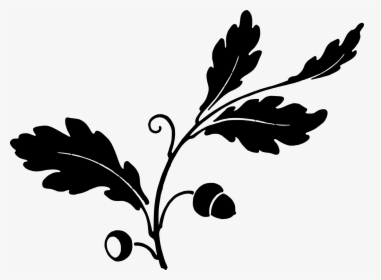Oak Leaf Png - Oakleaf And Acorn Silhouette, Transparent Png, Transparent PNG