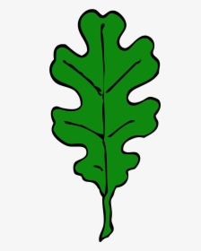 Forest, Oak Leaf, Green, Leaf, Tree, Leaves, Oak - Oak Leaf Clip Art, HD Png Download, Transparent PNG