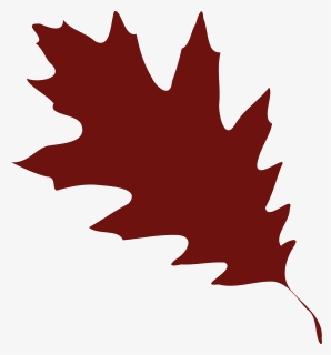 Oak, Leaf, Foliage, Greenery, Tree, Forest, Autumn - Red Oak Leaf Vector, HD Png Download, Transparent PNG