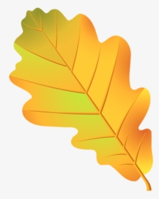 Leaf Oak Tree Acorn Drawing - Лист Дуба, HD Png Download, Transparent PNG