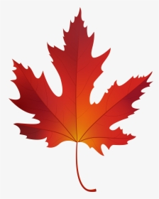 Autumn Maple Leaf Png Clip Art, Transparent Png, Transparent PNG