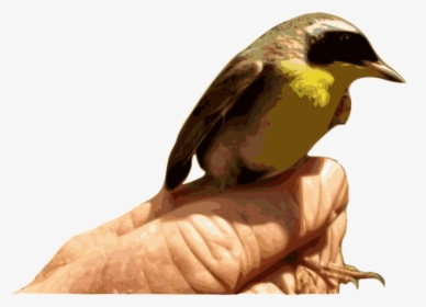 Yellowthroat Bird - Bird, HD Png Download, Transparent PNG