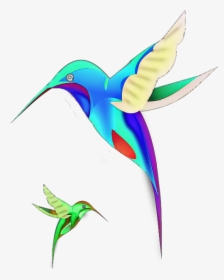 #freetoedit #colibrí #pájaros #ave #volando #bird #lovely - Coraciiformes, HD Png Download, Transparent PNG