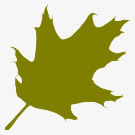 Oak, Leaf, Green, Silhouette - Silhouette Oak Leaf, HD Png Download, Transparent PNG