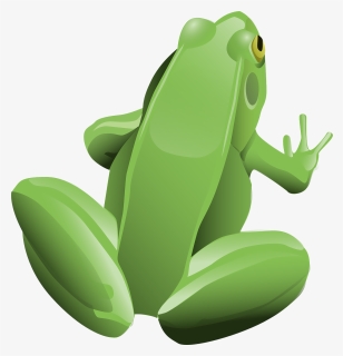 Clipart - Cool Frog - Frog Clip Art, HD Png Download, Transparent PNG
