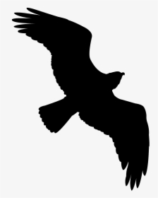 Green Bird Silhouette Flying, HD Png Download, Transparent PNG