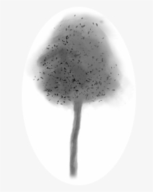 Monochrome, HD Png Download, Transparent PNG