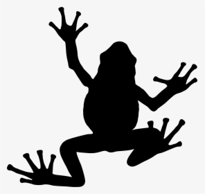 Tree Frog Silhouette Toad - Frogs Silhouette, HD Png Download, Transparent PNG