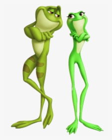 The Princess And The Frog - Princess And The Frog The Frog, HD Png Download, Transparent PNG