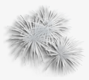 Transparent Silver Fireworks Png Clipart - Transparent Background White Fireworks Png, Png Download, Transparent PNG