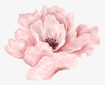 Transparent Watercolor Pink Flowers, HD Png Download, Transparent PNG