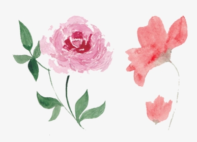 Flower,pink,watercolor Paint,common Peony,flowering - Pink Flowers Watercolor Png, Transparent Png, Transparent PNG