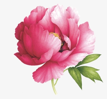 Peony Scented By Vincent Jeannerot From Tattly - Peony Tattoo, HD Png Download, Transparent PNG