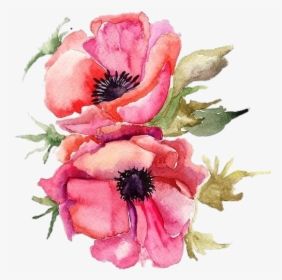 #vertical #poppy #pngstickers #png #watercolor #illustration - Pink Poppy Flowers Png, Transparent Png, Transparent PNG