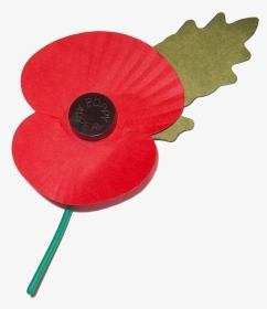 Remembrance Day Poppy, HD Png Download, Transparent PNG