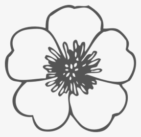 Poppy Png Black And White - Outline Flower Clipart, Transparent Png, Transparent PNG