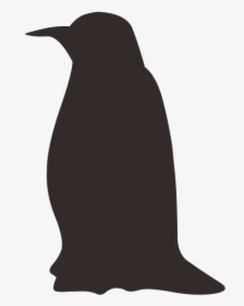 Penguin Bird Black And White Silhouette Wallpaper - Penguin Silhouette, HD Png Download, Transparent PNG