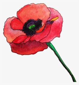 R 1805233972, Picture V - Red Flower Watercolor Transparent, HD Png Download, Transparent PNG