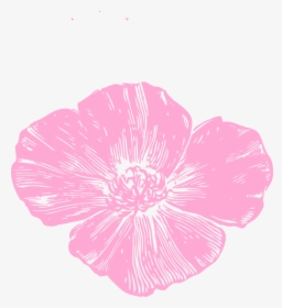Golden Poppy Clip Art, HD Png Download, Transparent PNG