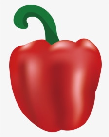 Chili Pepper Bell Pepper Vegetable - Illustration, HD Png Download, Transparent PNG