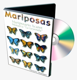Transparent Mariposas Png - Clasificacion De Mariposas, Png Download, Transparent PNG