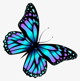 Cartoon Butterfly, HD Png Download, Transparent PNG