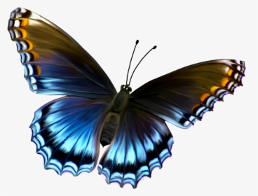 Butterfly Png Free Download, Transparent Png, Transparent PNG