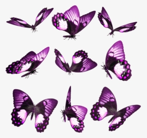 Purple Butterfly On Finger, HD Png Download, Transparent PNG