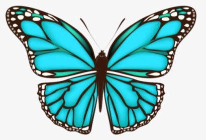 Simple Butterfly Wings Design, HD Png Download, Transparent PNG