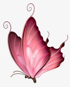 Pink Butterfly Images Png, Transparent Png, Transparent PNG