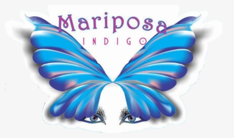 Mariposa, HD Png Download, Transparent PNG