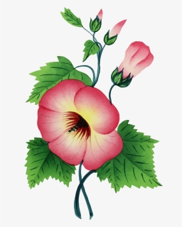Colorful, Floral, Flower, Plant, Vintage - One Stem Flower Png, Transparent Png, Transparent PNG