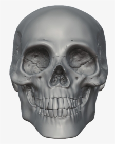 Skeleton Head Free Png Image - Skull 3d Head Png, Transparent Png, Transparent PNG