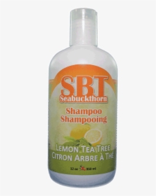 Transparent Tea Tree Png - Sbt Seabuckthorn, Png Download, Transparent PNG