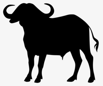 Cape Buffalo Transparent Png - Buffalo Silhouette Free Vector, Png Download, Transparent PNG