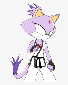 Tae Kwon Do Blaze The Cat Honfox - Blaze The Cat Karate, HD Png Download, Transparent PNG