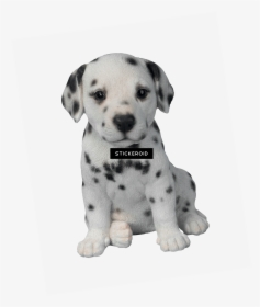 Dalmatian Puppy Pet Pal By Vivid Arts , Png Download - Dalmatian Puppy Png, Transparent Png, Transparent PNG