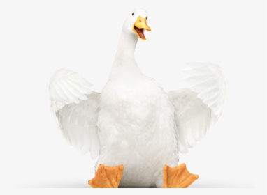 Aflac Duck, HD Png Download, Transparent PNG