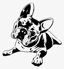 French Bulldog Sketch, HD Png Download, Transparent PNG