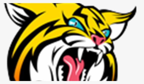 Banner Freeuse Download Bobcat Clipart Tiger - Boca Raton High School Bobcat, HD Png Download, Transparent PNG