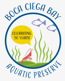 Boca Ciega Bay Aquatic Preserve, HD Png Download, Transparent PNG