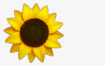 Transparent Girasoles Png Iphone Sunflower Emoji Png Png
