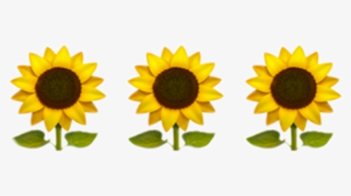 Transparent Girasoles Png - Iphone Sunflower Emoji Png, Png Download, Transparent PNG