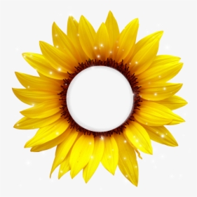 #girasol #amarillo #cafe #frame #bydeniabejar - Sunflower Cartoon Png, Transparent Png, Transparent PNG