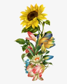 Victorian Flowers, Bunt, Sunflower Art, Sunflower Clipart, - Sunflower Art, HD Png Download, Transparent PNG